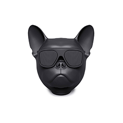 AeroBull Nano音箱 让·米歇尔·雅尔  饰品